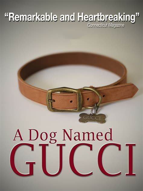 dog named gucci|a dog named gucci.